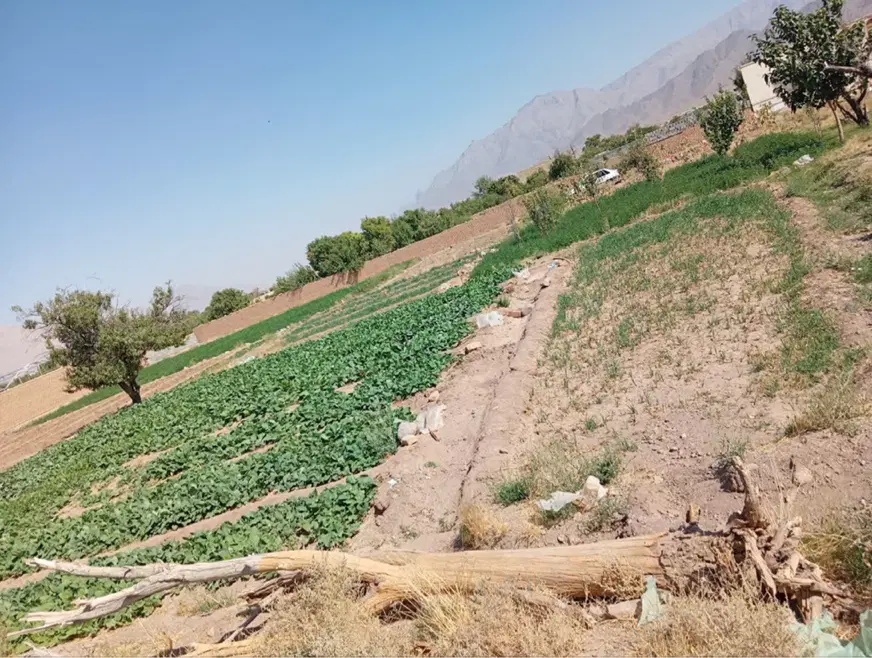 صحرا با موقعیت عالی