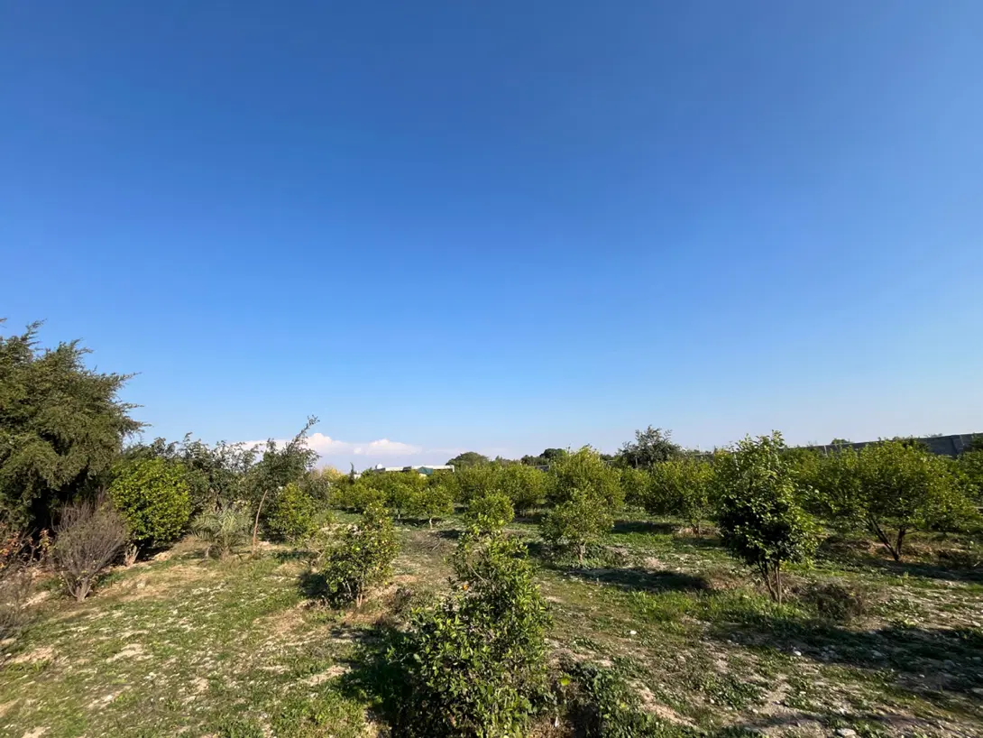هزار متر باغ سر اتوبان