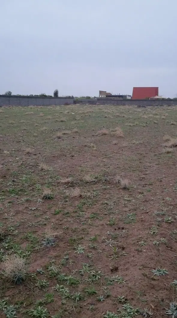 ۳۶قصب زمین دهقاضی معاوضه با ماشین