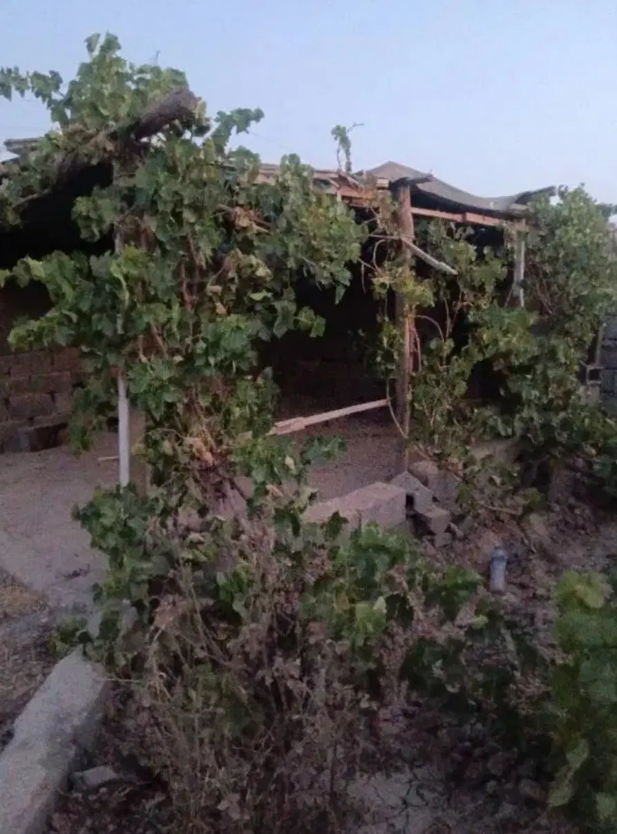 باغ ۴۱۰متری
