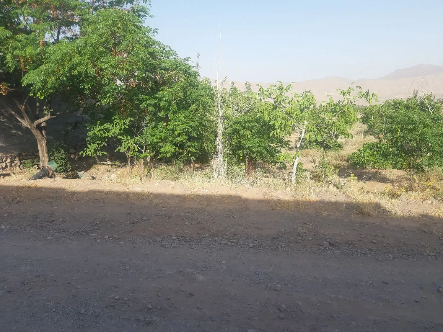 زمین هفت باغ دهکده گلها
