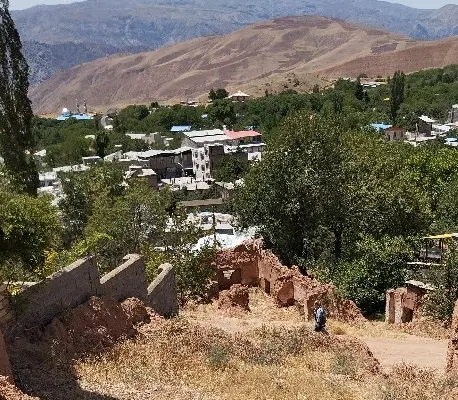 امروز نخری فردا پشیمونی