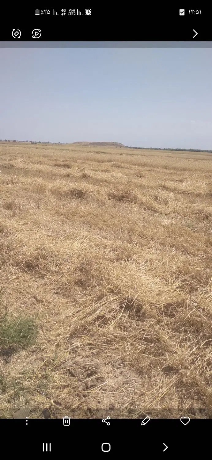 زمین کشاورزی