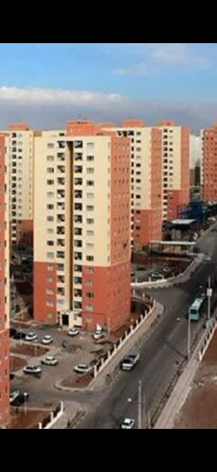 زیتون ابوطالب