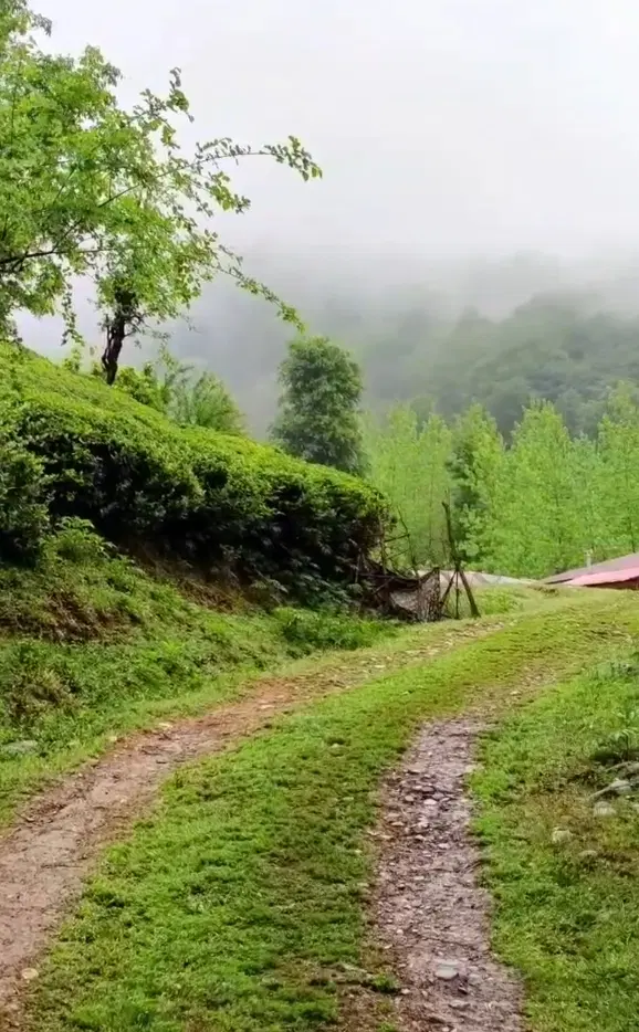 خرید و فروش ملک