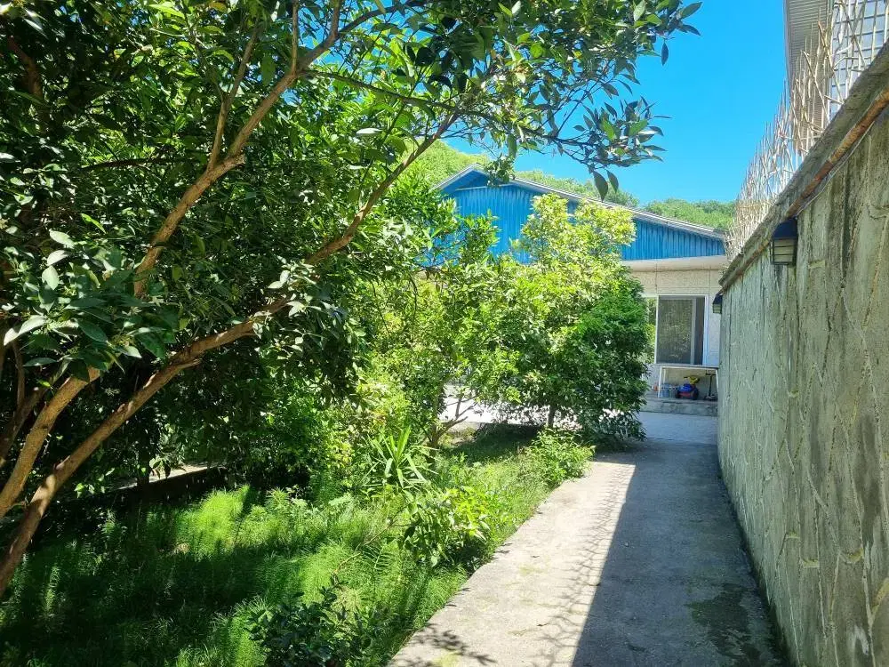فروش زمین مسکونی مازندران