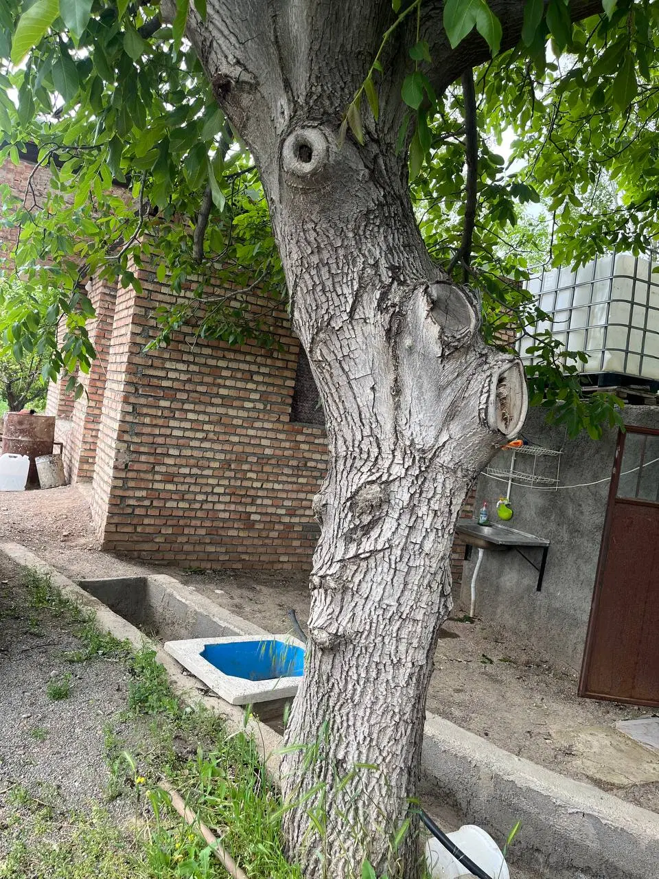 باغ دارای ویلا