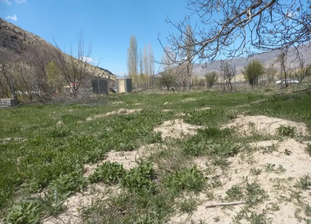 زمین باغی