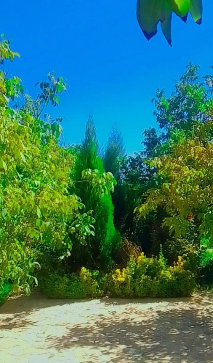 فروش باغ ویلا رویایی شاهنامه 14