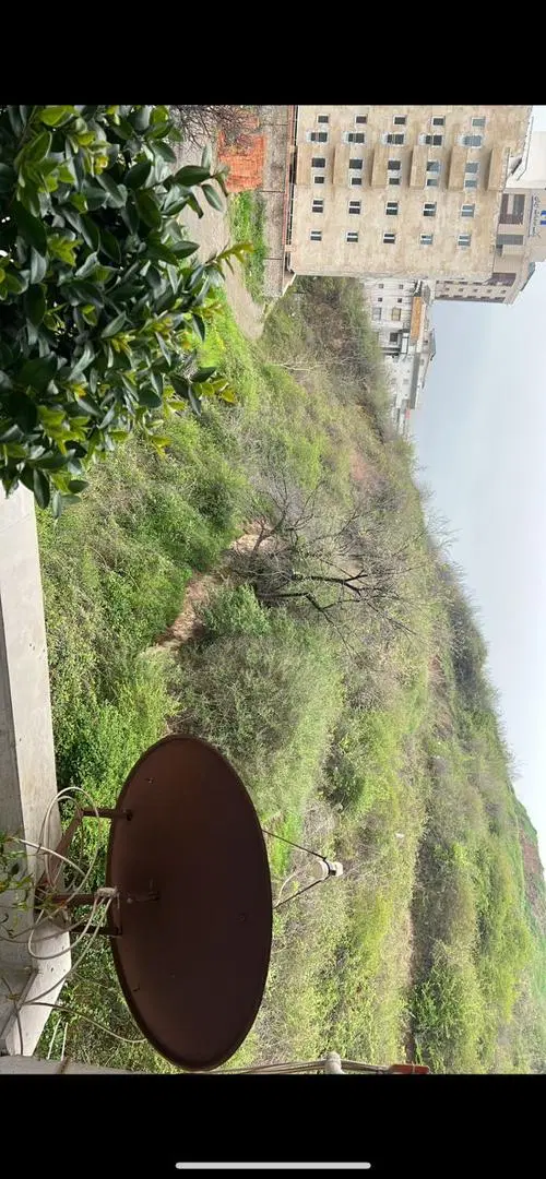 زمین