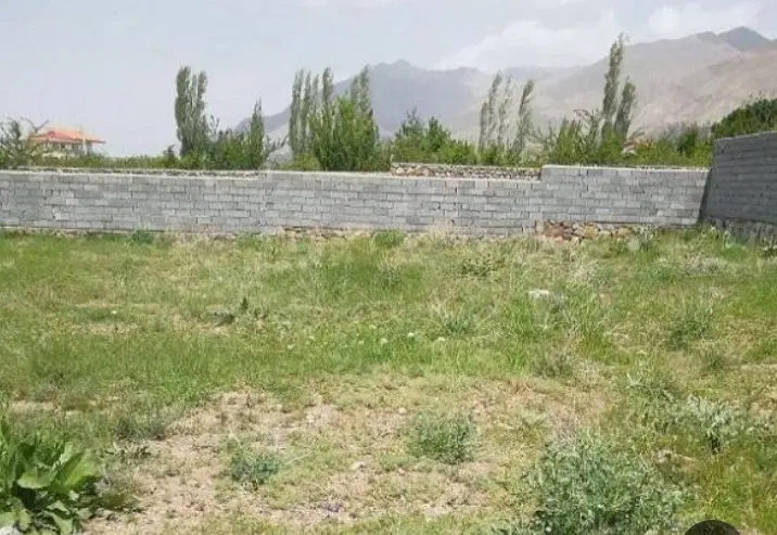 زمین پسته