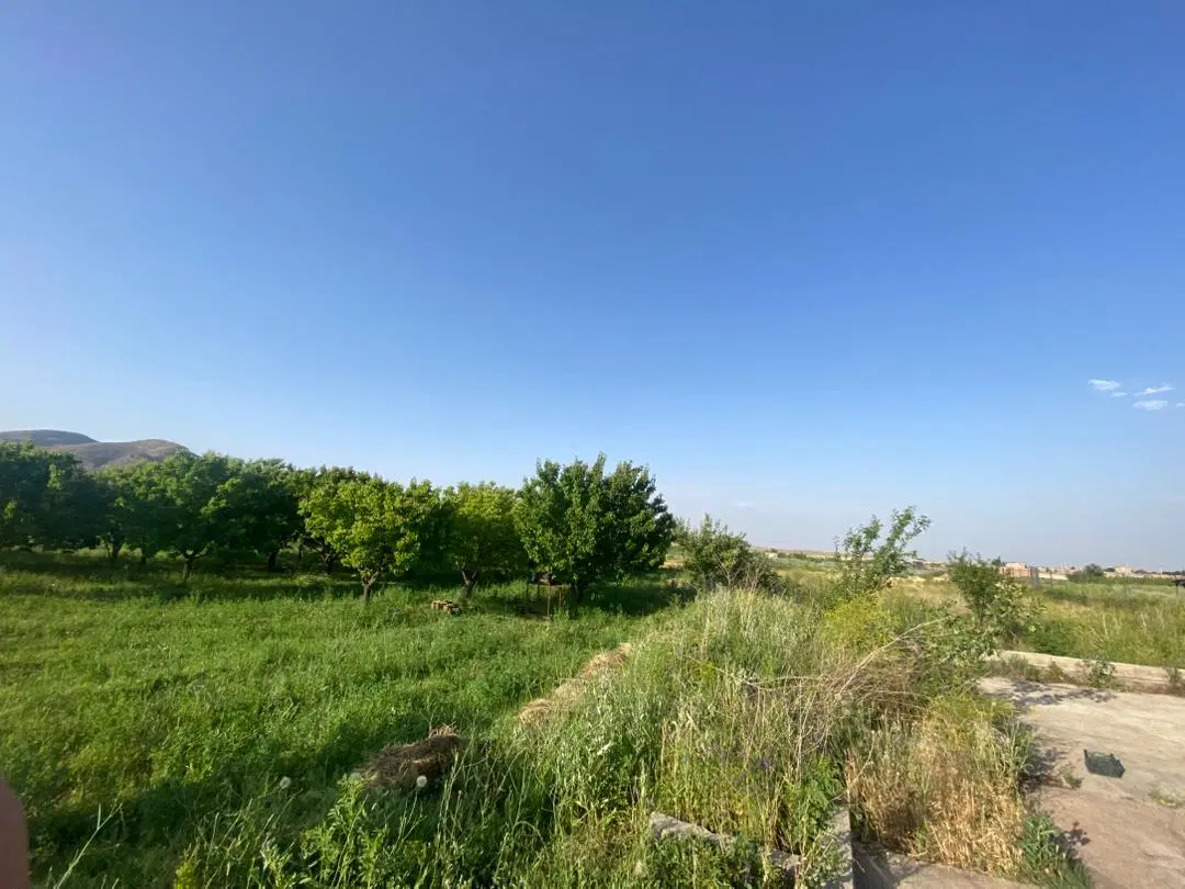 باغ به متراژ ۷۵۰۰ متر دنج دنج