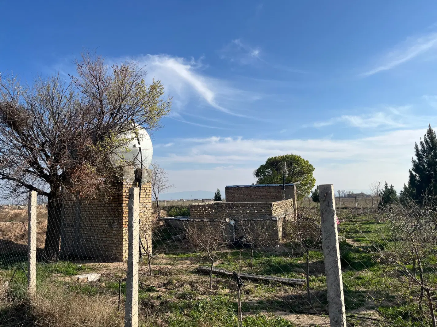زمین کشاورزی
