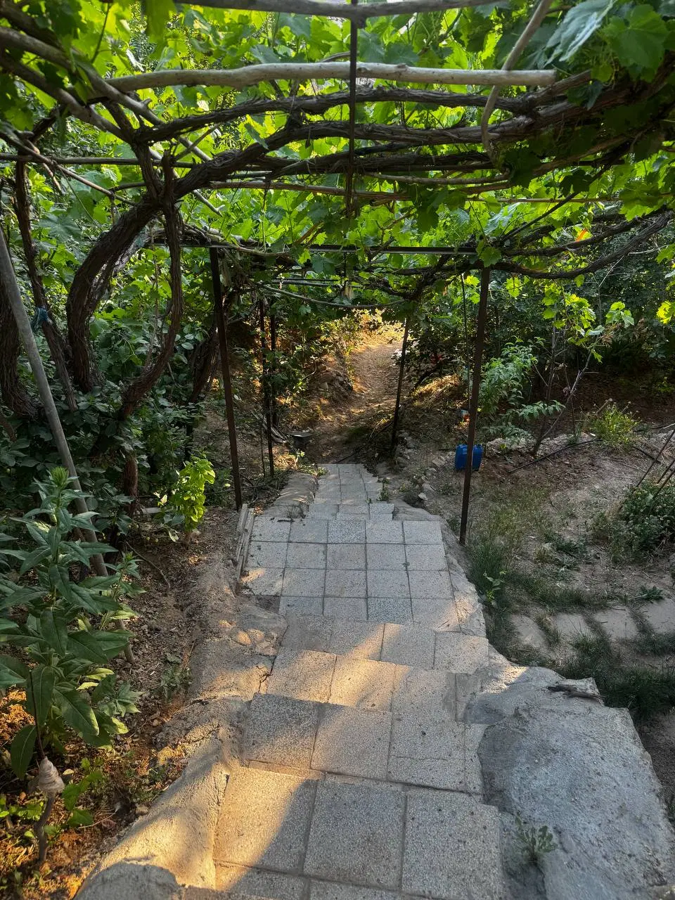 خانه ویلایی درشیخ شبلی