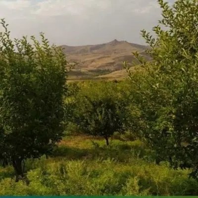 باغ فروشی دوقطعه قیمت توافقی