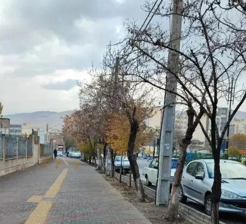 مرند صمصامی