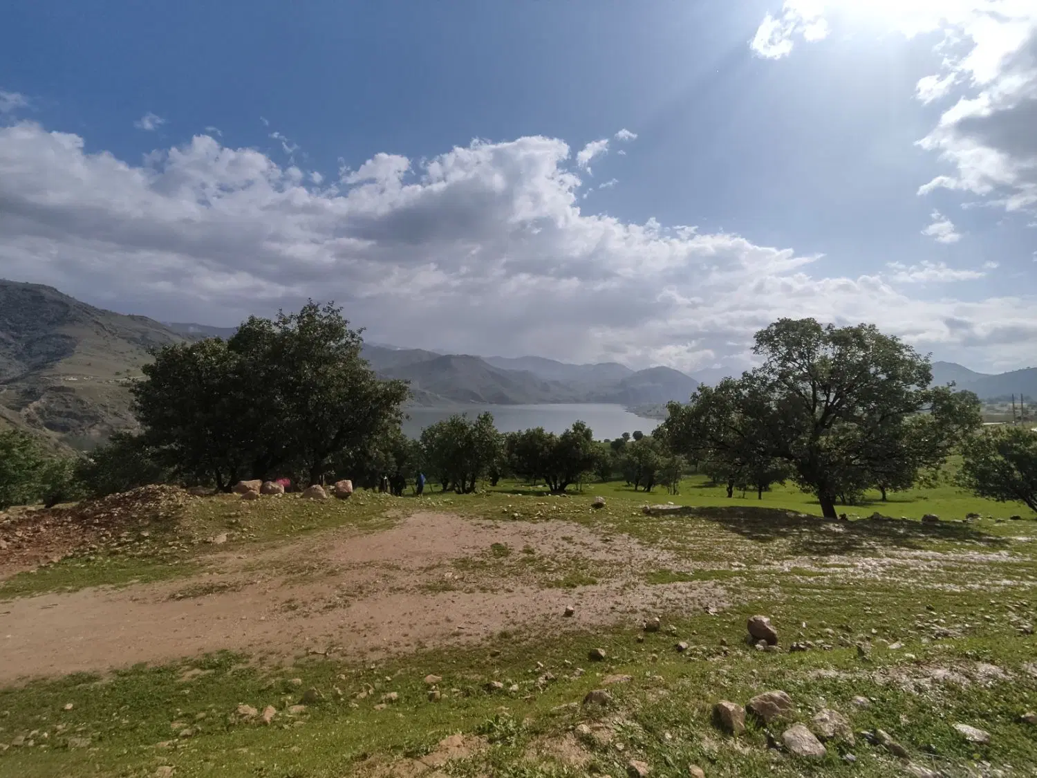زمین
