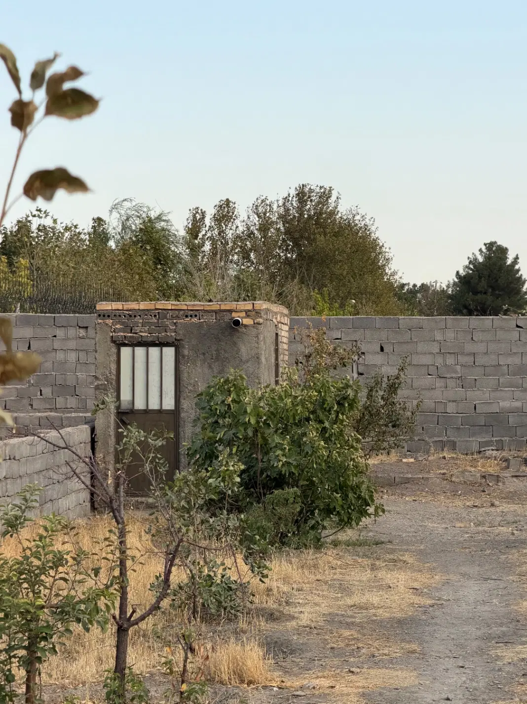 زمین سند تک برگ ملکی نزدیک حاشیه سنتو