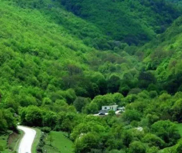 زمین باغی