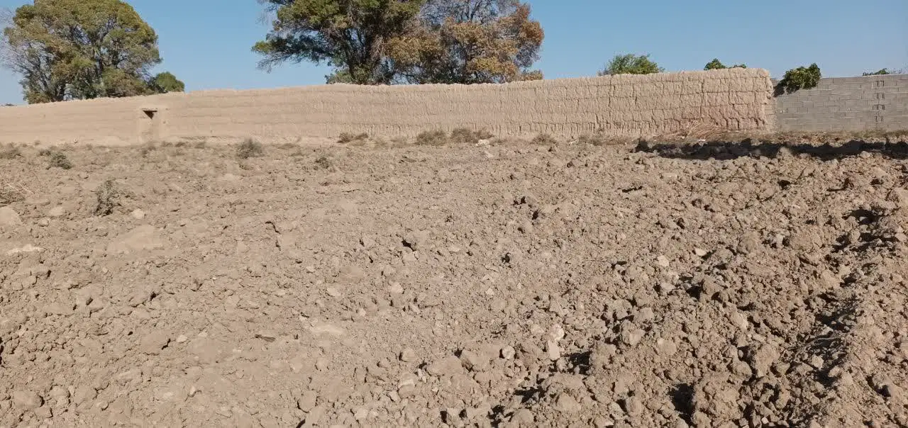 زمین باغی