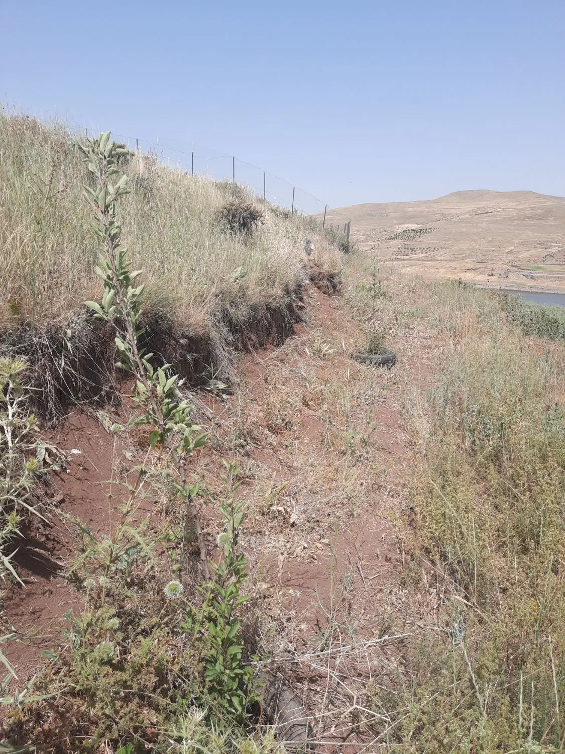 زمین نزدیک دریاچه دریابک روستای زرشک