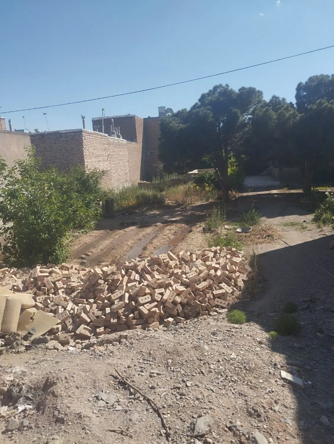 زمینه باغ قطعه بندی شده