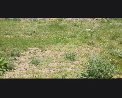 زمین سوران شاندیز مساحت ۲۵۰۰ مشهد