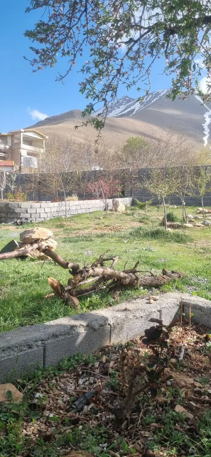 ۴ دیواری خانه میران