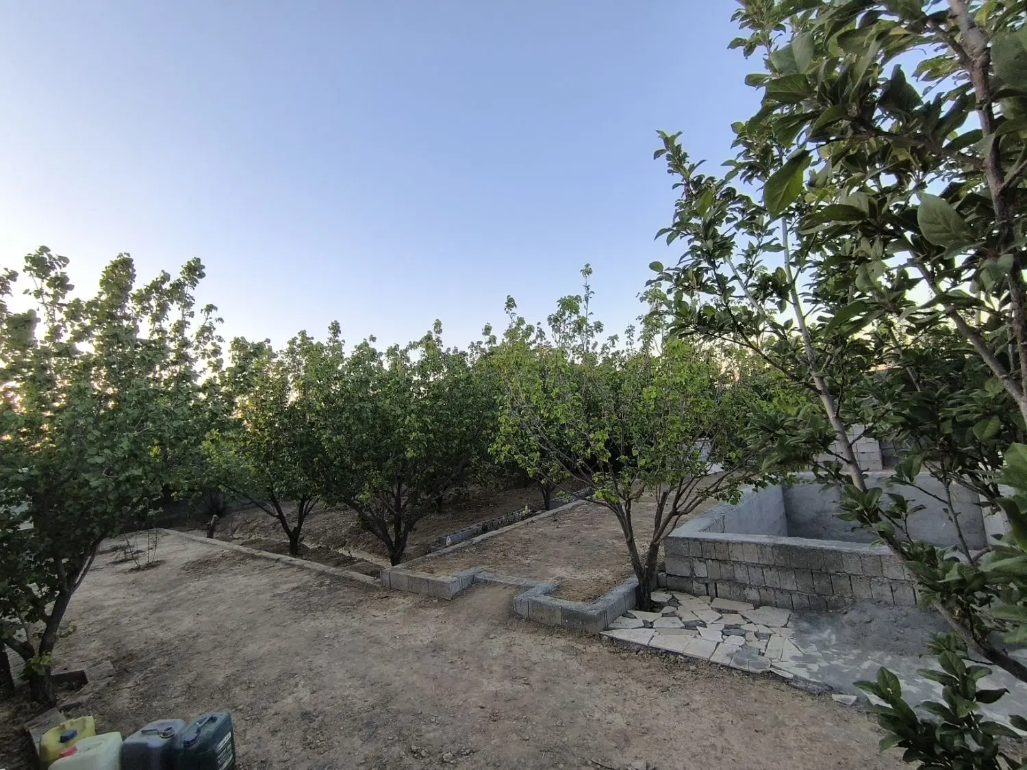 باغ دنج
