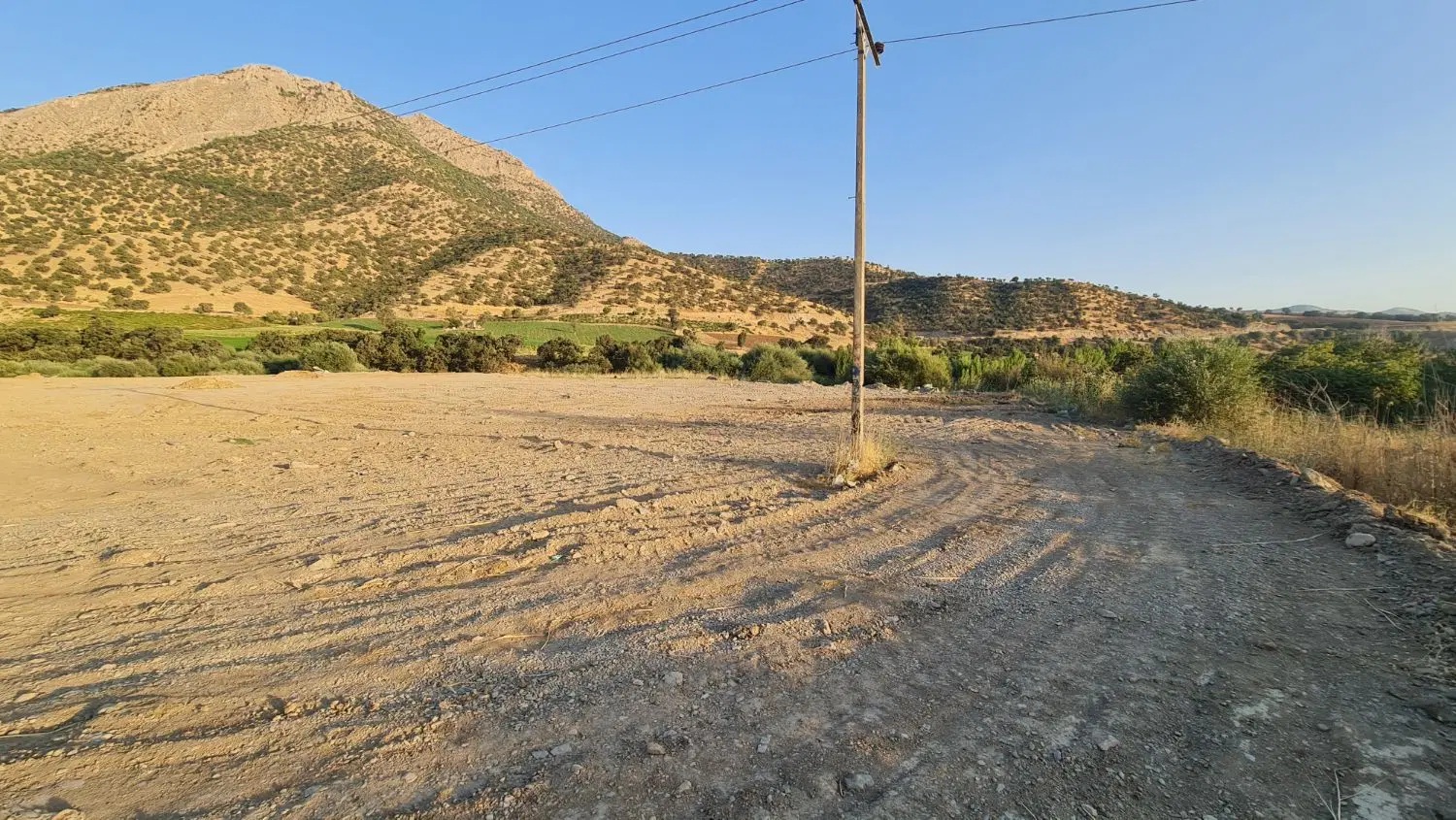 زمین