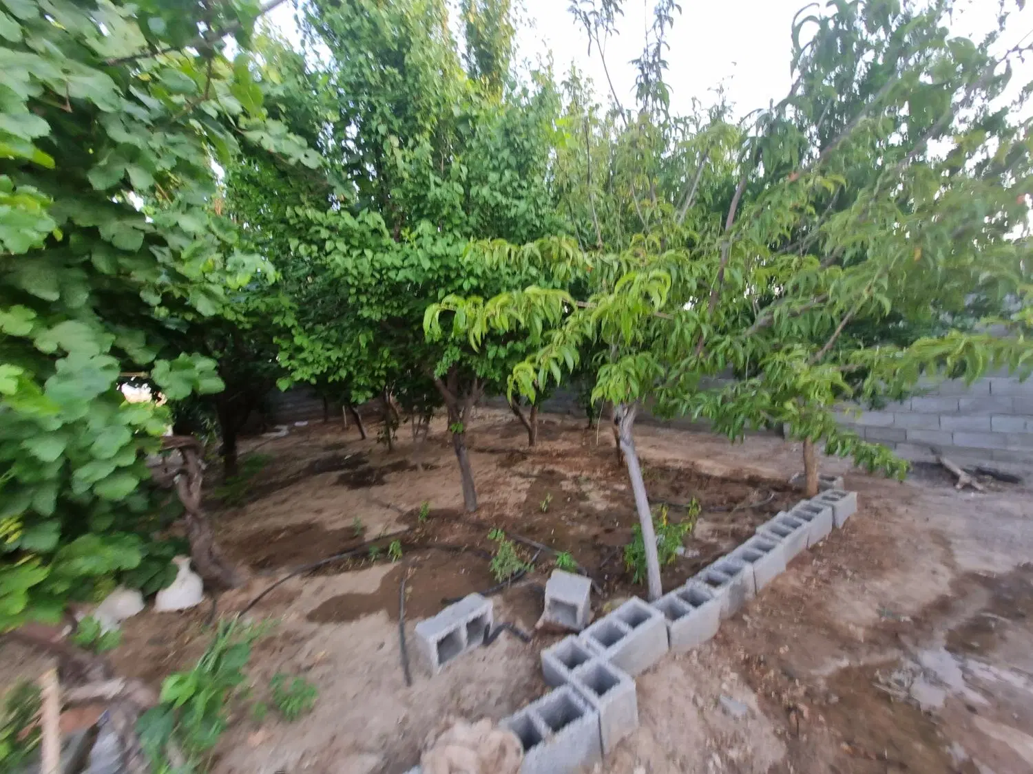 خانه باغ خیرآباد