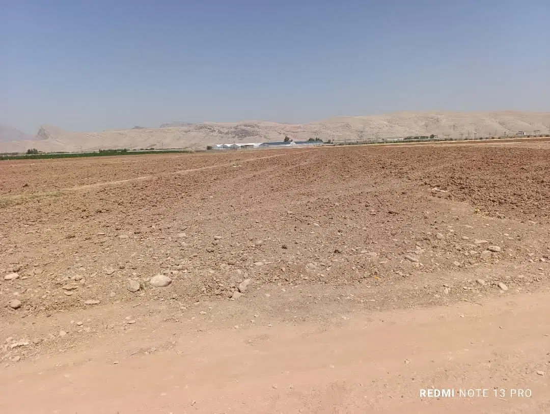 زمین کشاورزی روستای دهباقر