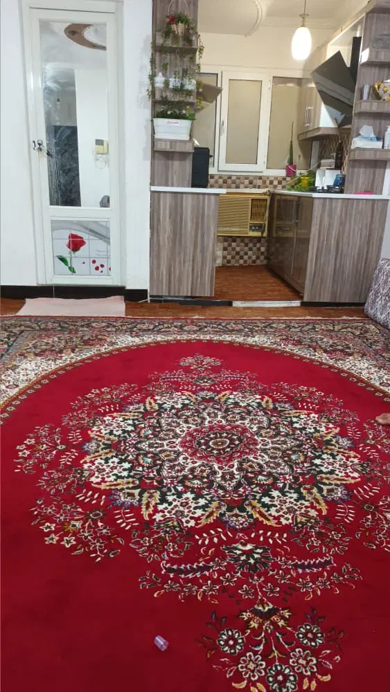 تک خواب  بهمنی  تامین اجتماعی