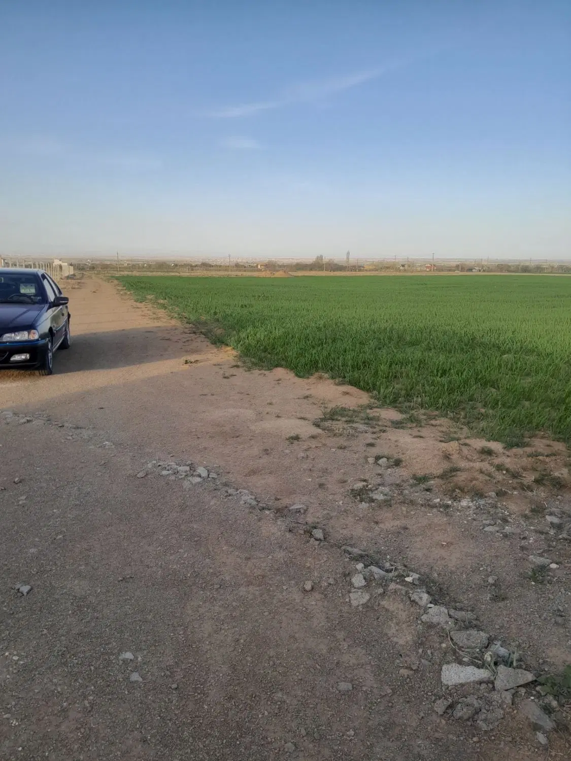 زمین دیم کشاورزی