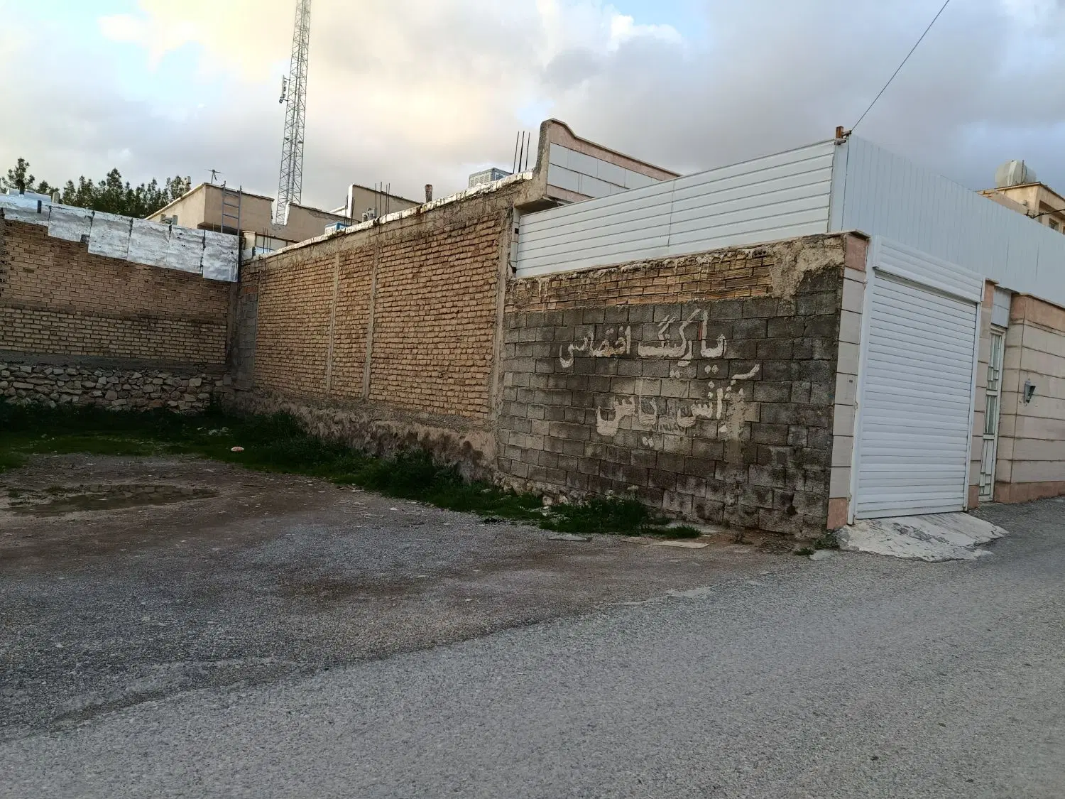 زمین جنوبی تک برگ سند