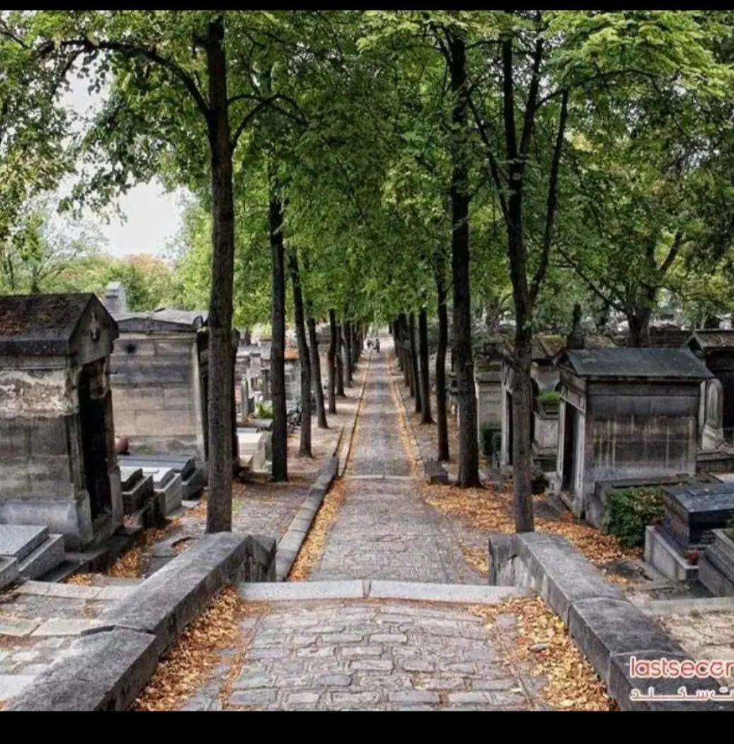 زمین باغ فردوس