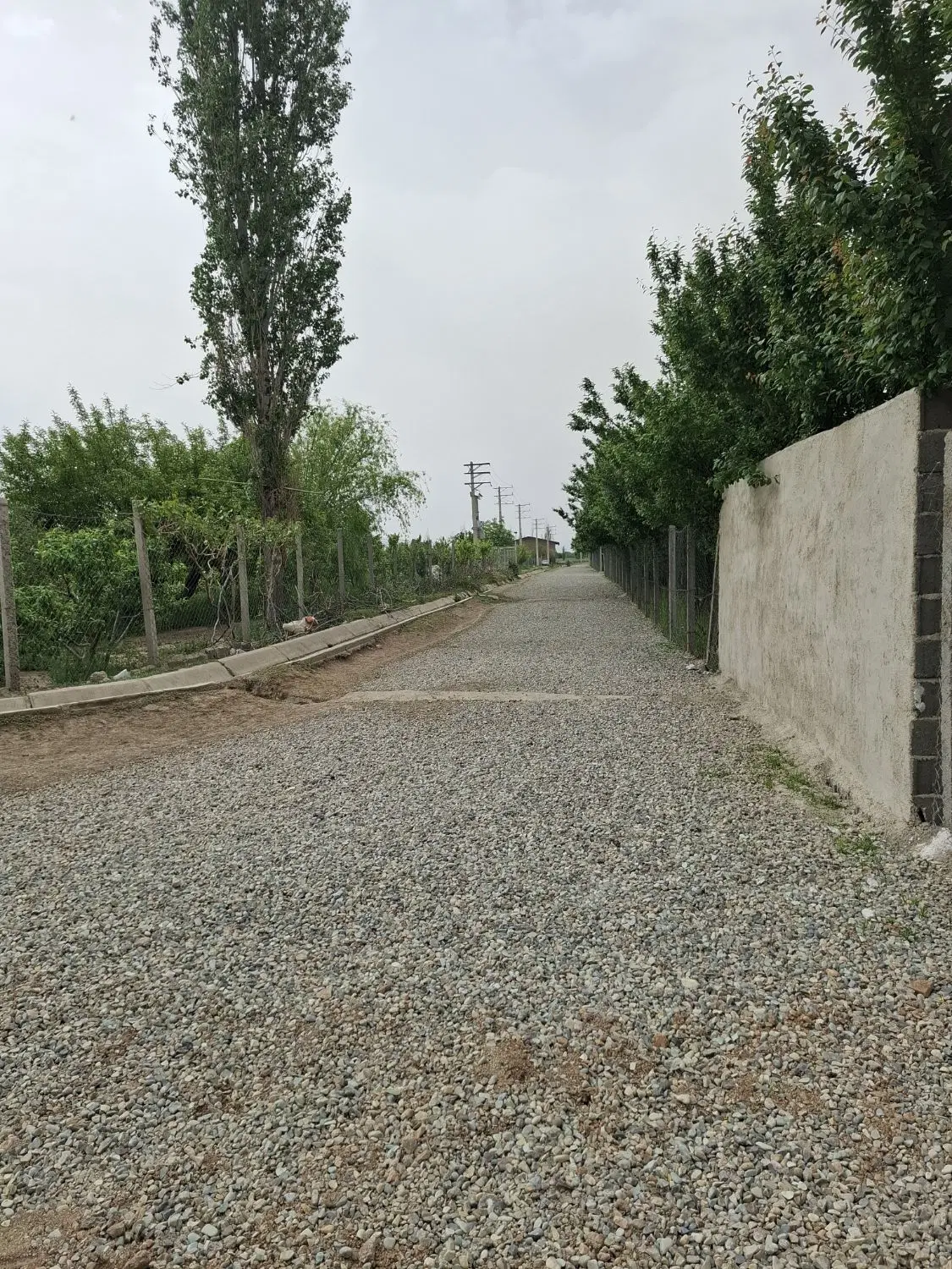باغچه فروشی ( ۴۷۲ متری )