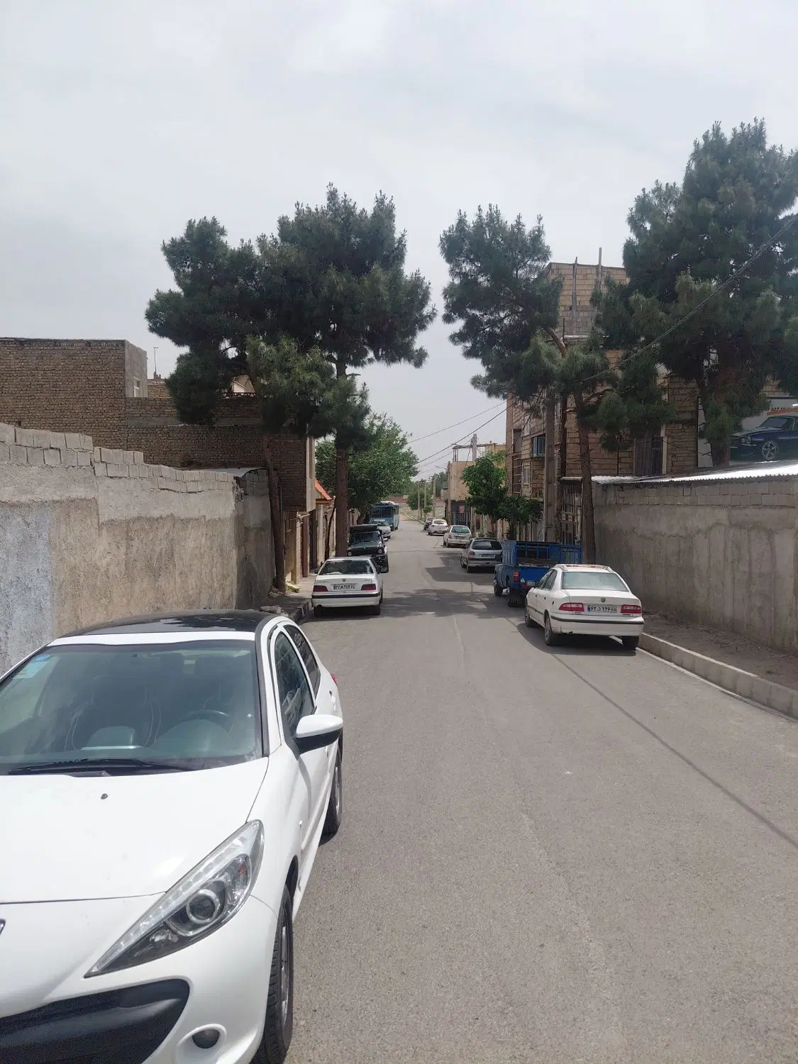 ۷۲ متر پیشاهنگی