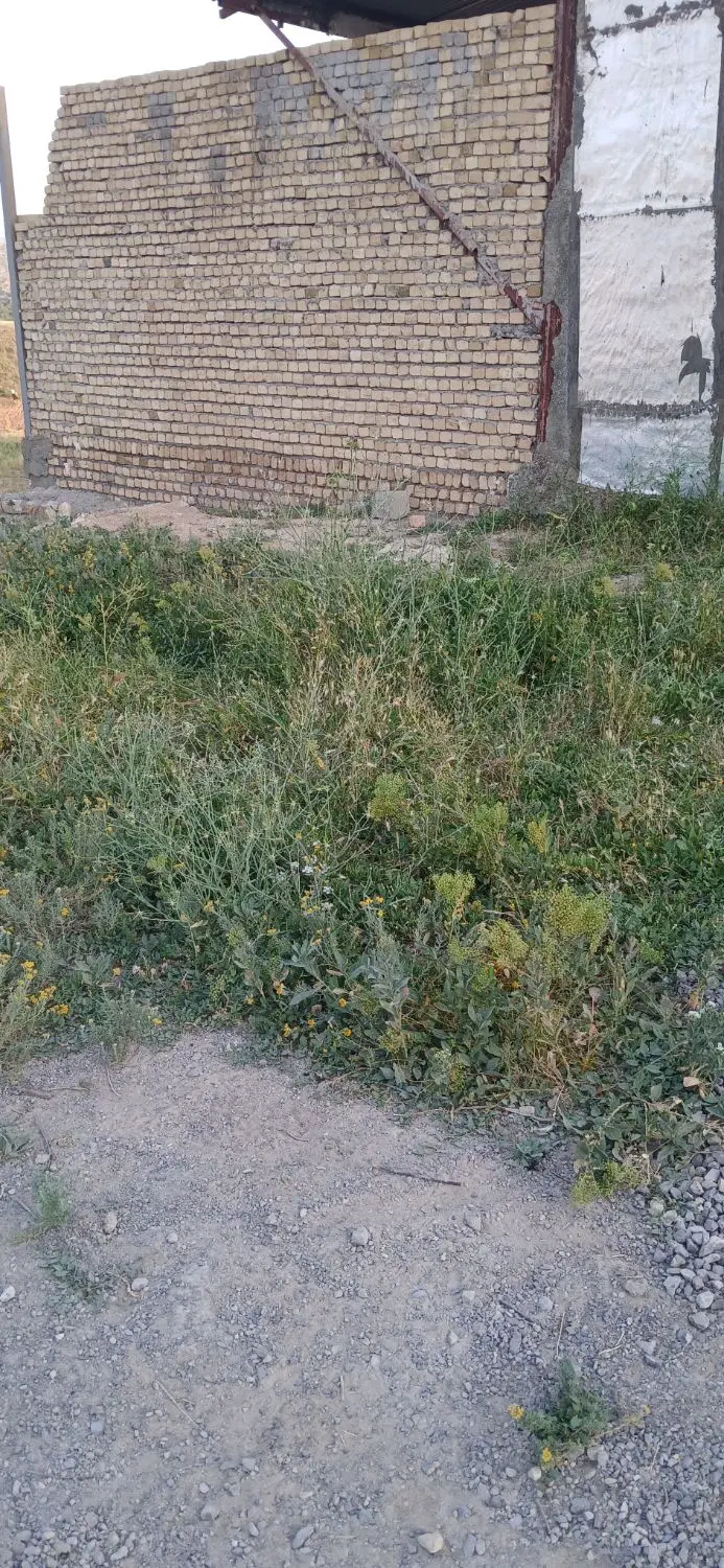 زمین مسکونی