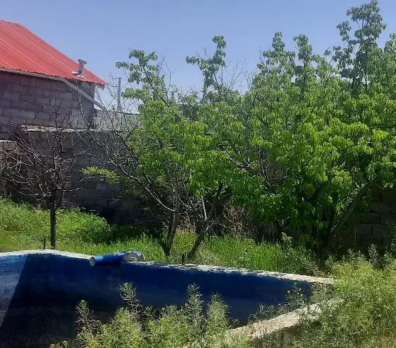 باغ ۵۰۰متری سنددار شاهنامه
