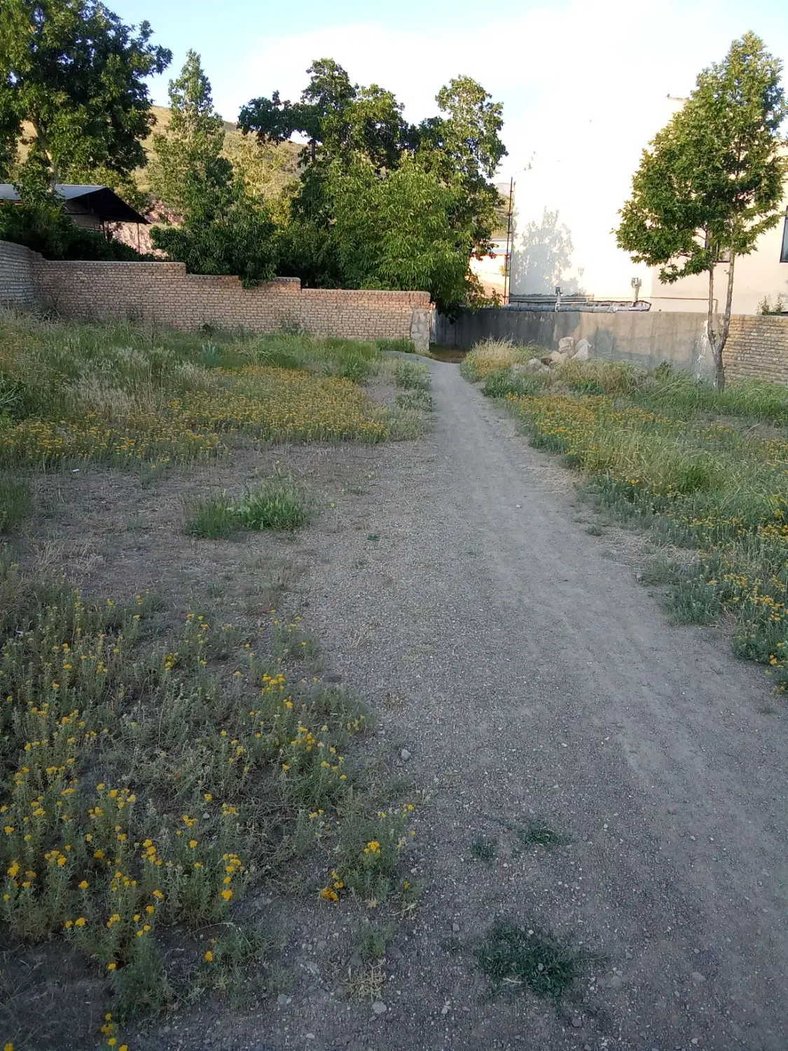 فروش زمین در روستای دستجرد