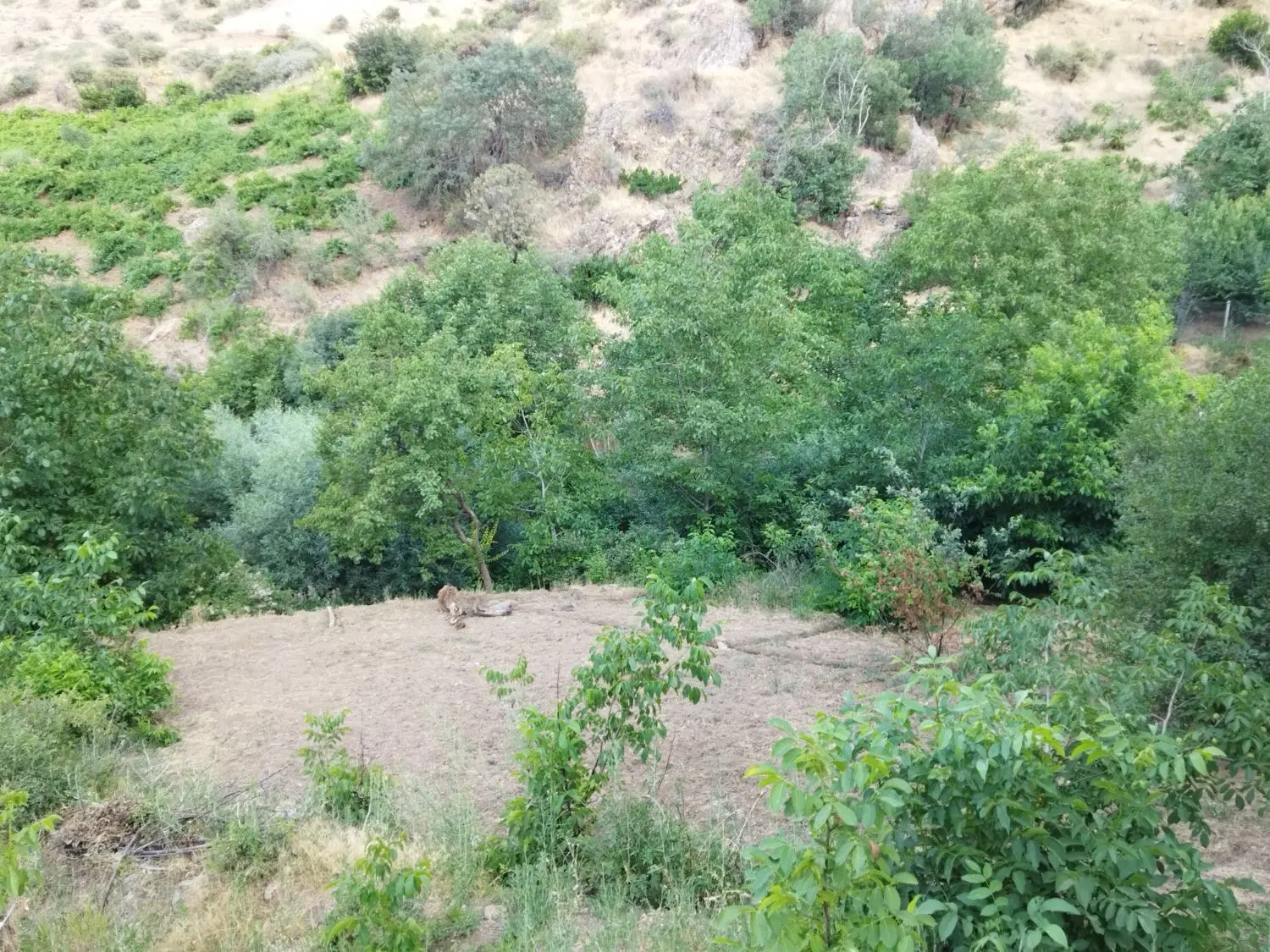 زمین کشاوزی