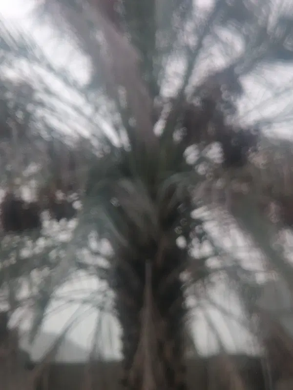 اب زمین
