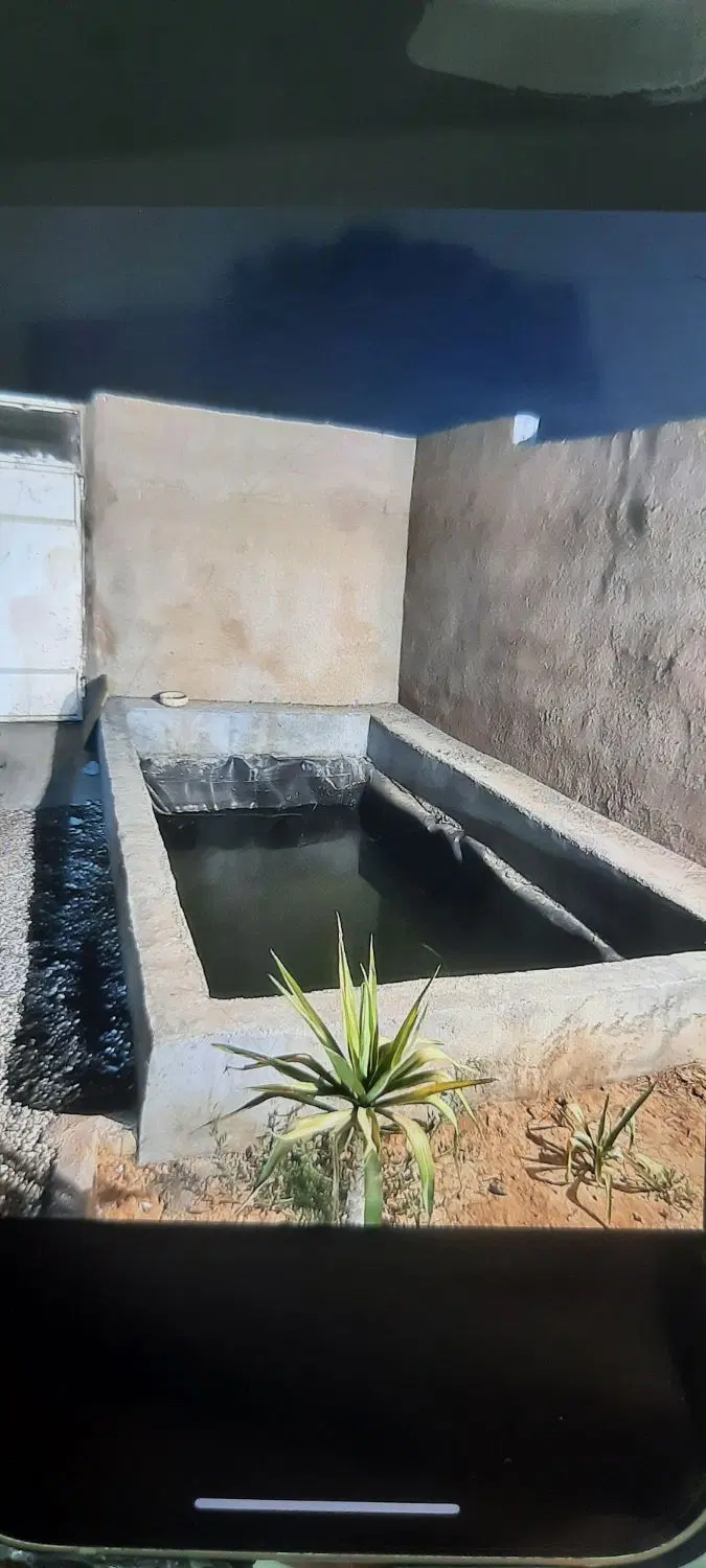 باغ نُقلی