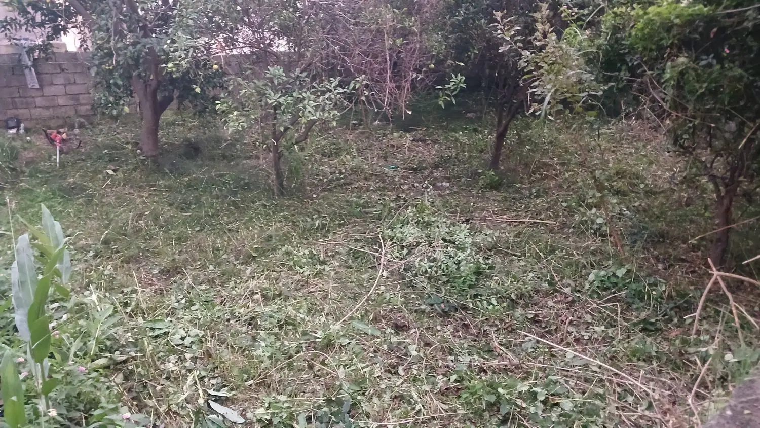 فروش زمین