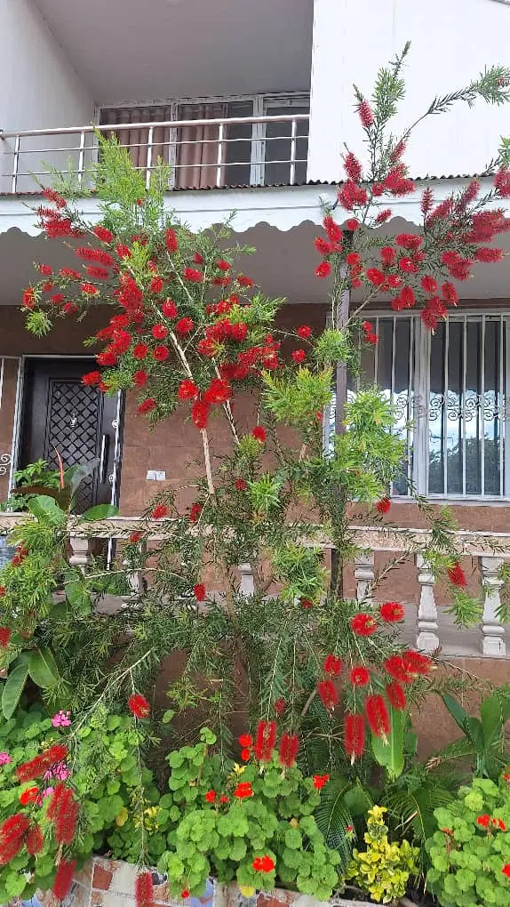 ویلا مسکونی