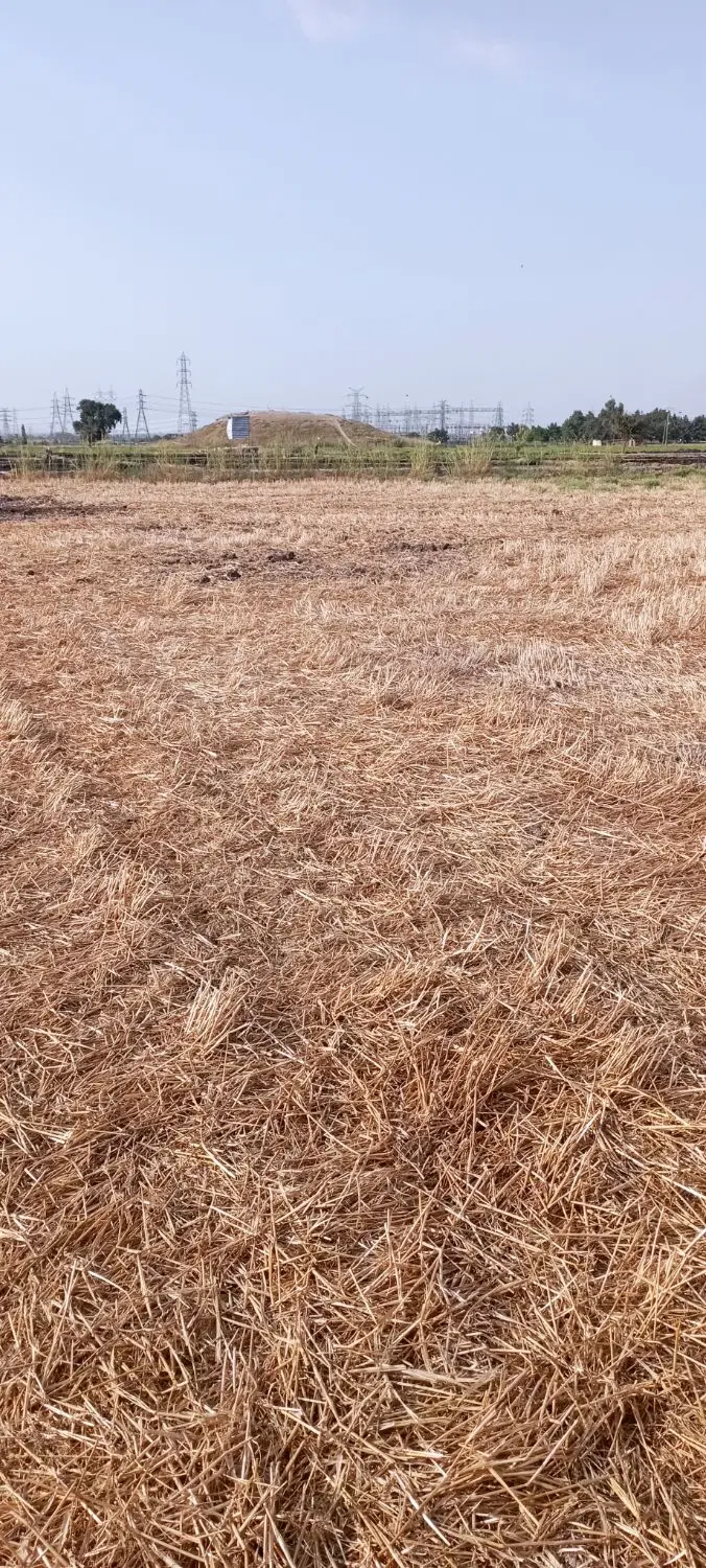 زمین مناسب باغ و گل خونه