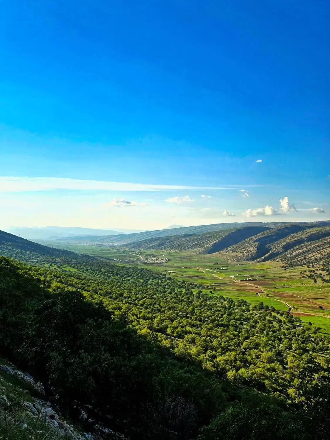 زمین کشاورزی