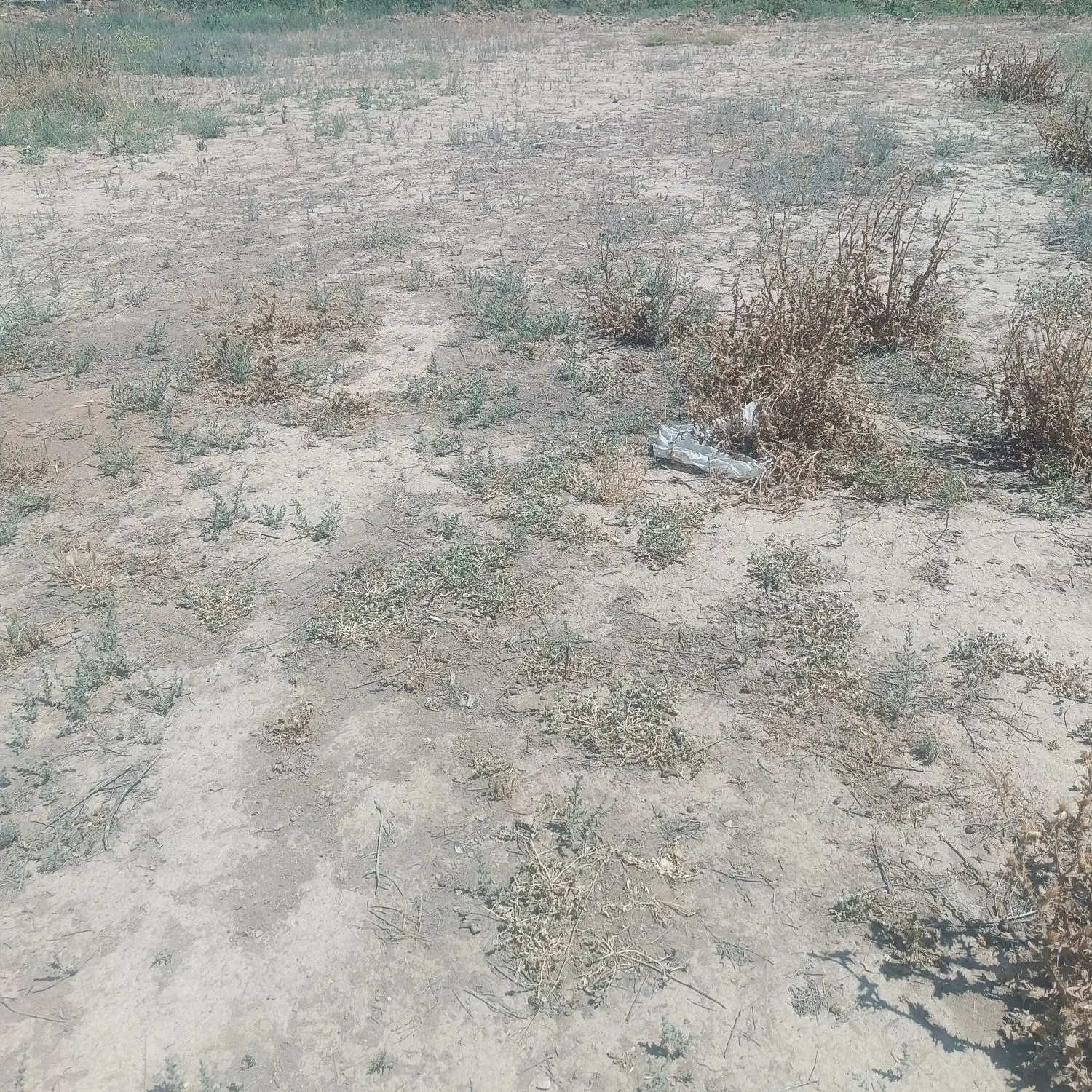 یک قطعه زمین مسکونی