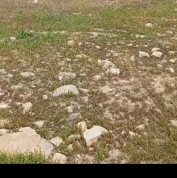 فروش زمین نمره 2